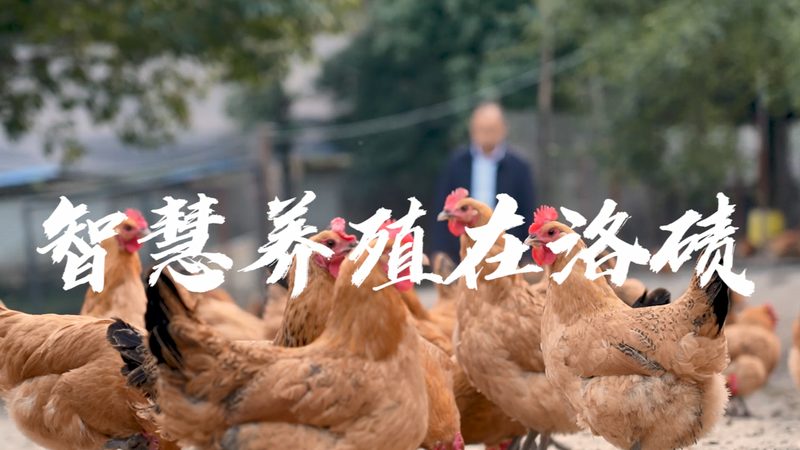 生物医药外包服务，价格表背后的考量因素**
