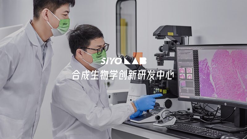 细胞培养摇瓶规格选择：如何根据实验需求精准匹配**