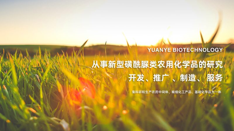 仿制药一致性评价，谁最需要先看懂