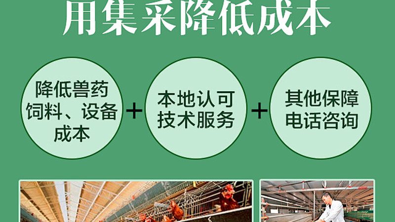 引物合成周期缩短的五大关键策略